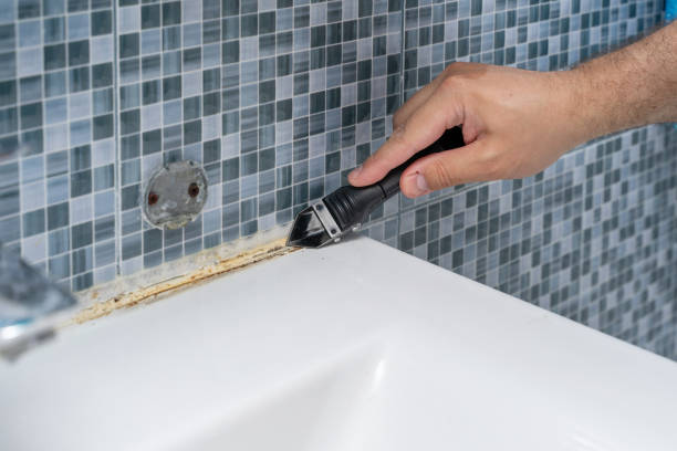 Best Affordable Mold Removal  in Springfield, KY