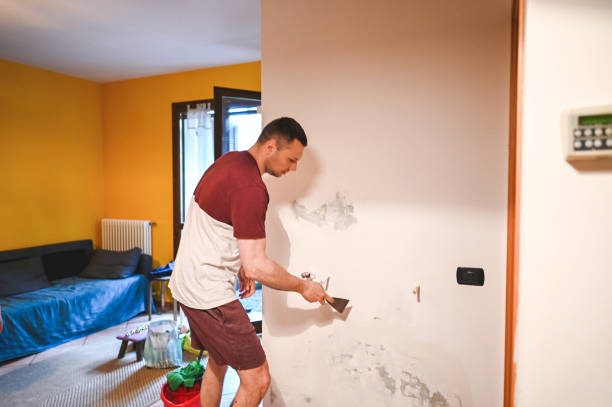 Best Mold Removal Company Near Me  in Springfield, KY