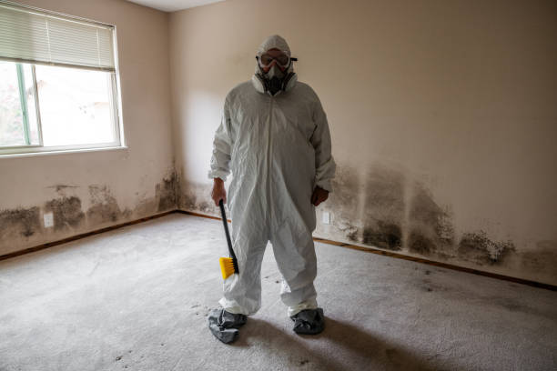Best Office Mold Removal Services  in Springfield, KY